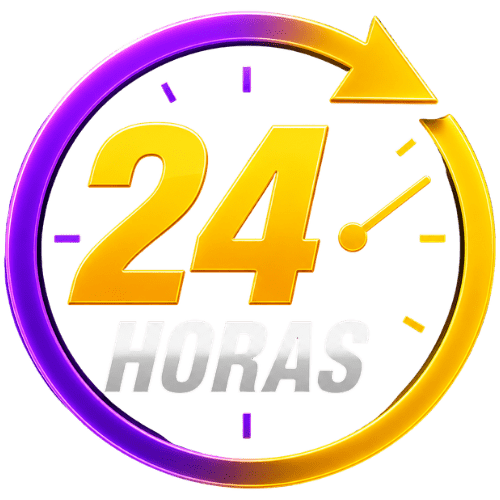 24 horas